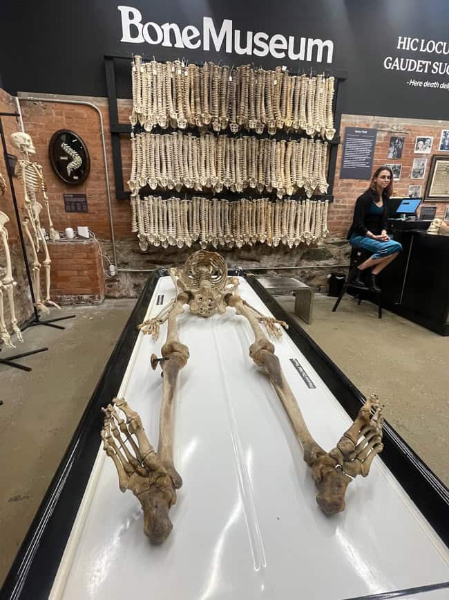 The Bone Museum